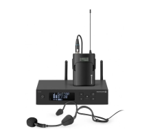 Beyerdynamic TG 534 HEADWORN SET Головная радиосистема