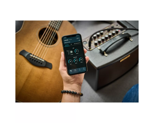 Boss AC-22LX Акустический комбоусилитель, 10 Вт., 2х5"