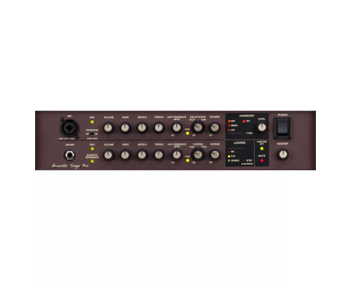 Boss Acoustic Singer Pro ACS-PRO Акустический комбоусилитель, 120 Вт., 8"