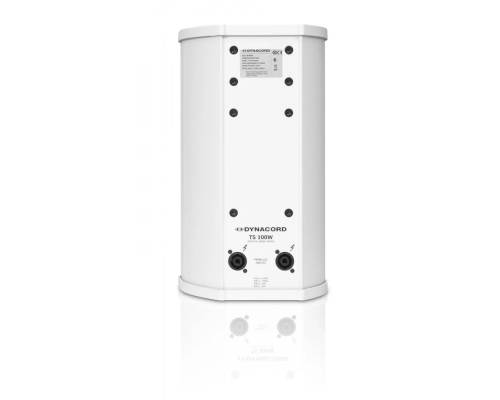 Dynacord TS100W Пассивная АС, 150 Вт., 6"