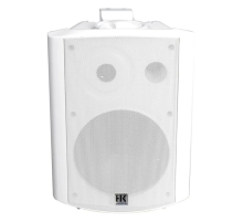 HK Audio IL 60-TW Трансляционная АС, 80 Вт., 6"