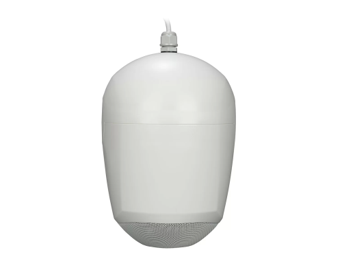 RCF BS 5EN Всепогодный подвесной звуковой прожектор, 10Вт/100Вт, IP 55