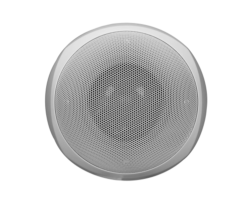 RCF BS 5EN Всепогодный подвесной звуковой прожектор, 10Вт/100Вт, IP 55