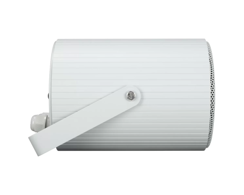 RCF DP 1420EN Звуковой прожектор, 20 Вт., 5