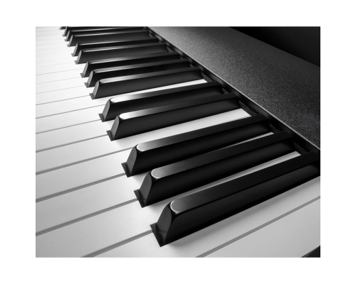 Roland A-88MKII MIDI клавиатура, 88 клавиш