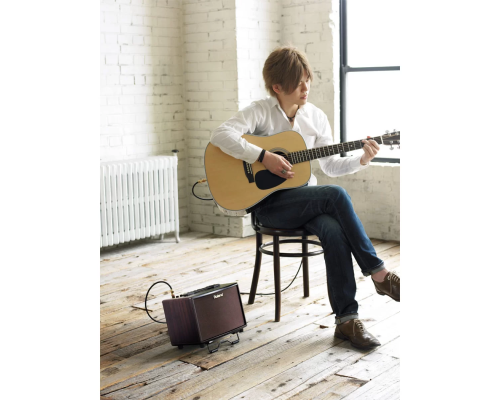 Roland AC-33RW Акустический комбоусилитель, 30 Вт., 2x4,5"