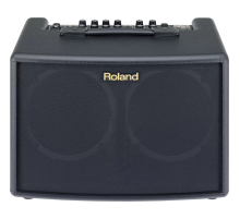 Roland AC-60 Акустический комбоусилитель, 60 Вт., 2x6,5"