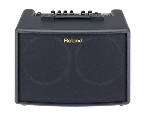 Roland AC-60 Акустический комбоусилитель, 60 Вт., 2x6,5"