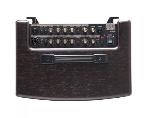 Roland AC-60 Акустический комбоусилитель, 60 Вт., 2x6,5"