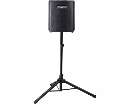 Roland BA-330 Портативная стереоакустическая система