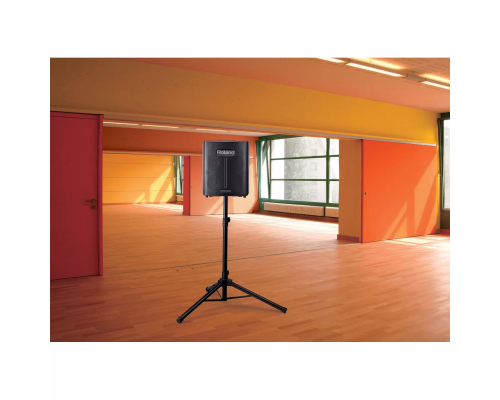 Roland BA-330 Портативная стереоакустическая система