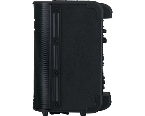 Roland BA-330 Портативная стереоакустическая система