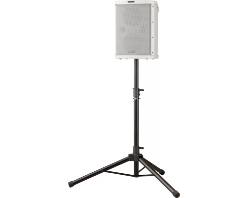 Roland BA-55 White Портативная акустическая система, 20 Вт.