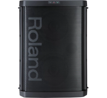 Roland BA-55 Портативная акустическая система, 20 Вт.