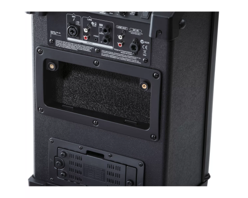 Roland BA-55 Портативная акустическая система, 20 Вт.