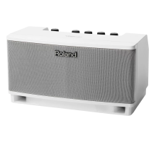 Roland CUBE Lite MONITOR Портативный комбо-монитор, 10 Вт.
