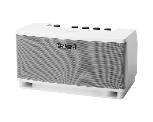 Roland CUBE Lite MONITOR Портативный комбо-монитор, 10 Вт.