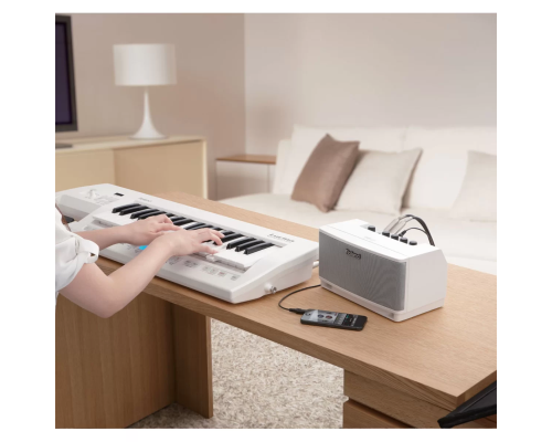 Roland CUBE Lite MONITOR Портативный комбо-монитор, 10 Вт.