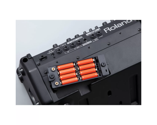 Roland CUBE Street EX Гитарный комбоусилитель, 50 Вт., 2x8"