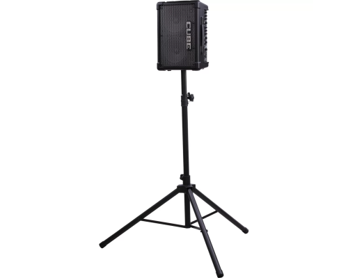 Roland CUBE Street EX Гитарный комбоусилитель, 50 Вт., 2x8"