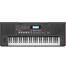 Roland E-X50 Синтезатор с автоаккомпанементом