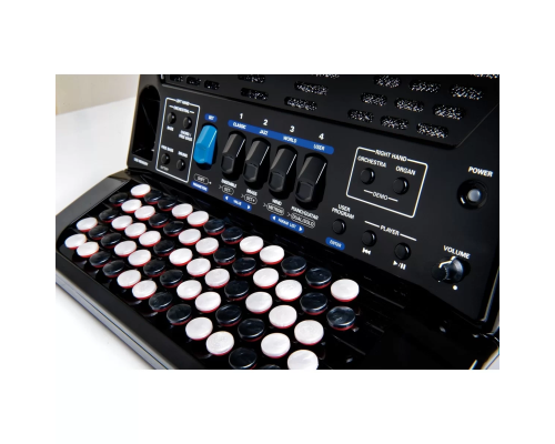 Roland FR-1xb (Black) Цифровой баян
