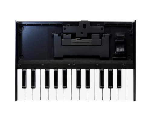 Roland K-25M Портативная клавиатура для модулей Roland Boutique