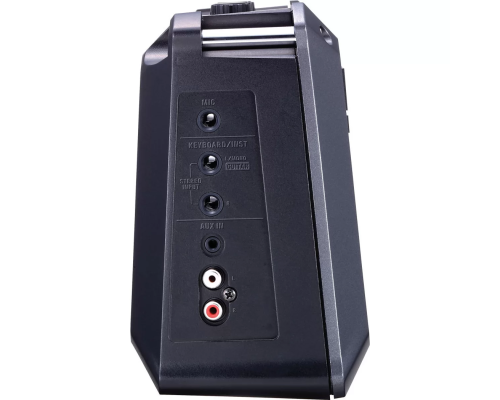 Roland MOBILE CUBE Комбоусилитель, 5 Вт., 2x4"