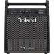 Roland PM-100 Комбо для барабанщиков, 80 Вт., 10"