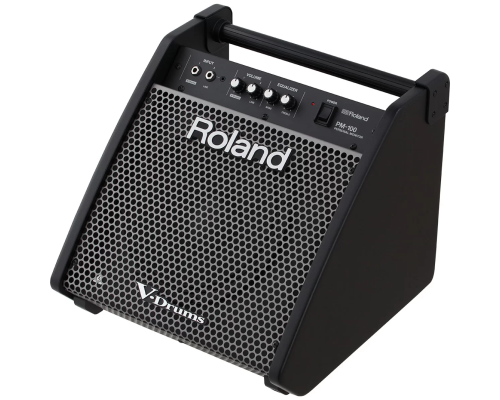 Roland PM-100 Комбо для барабанщиков, 80 Вт., 10"