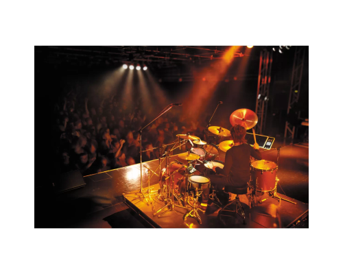 Roland TM-2 Триггерный модуль